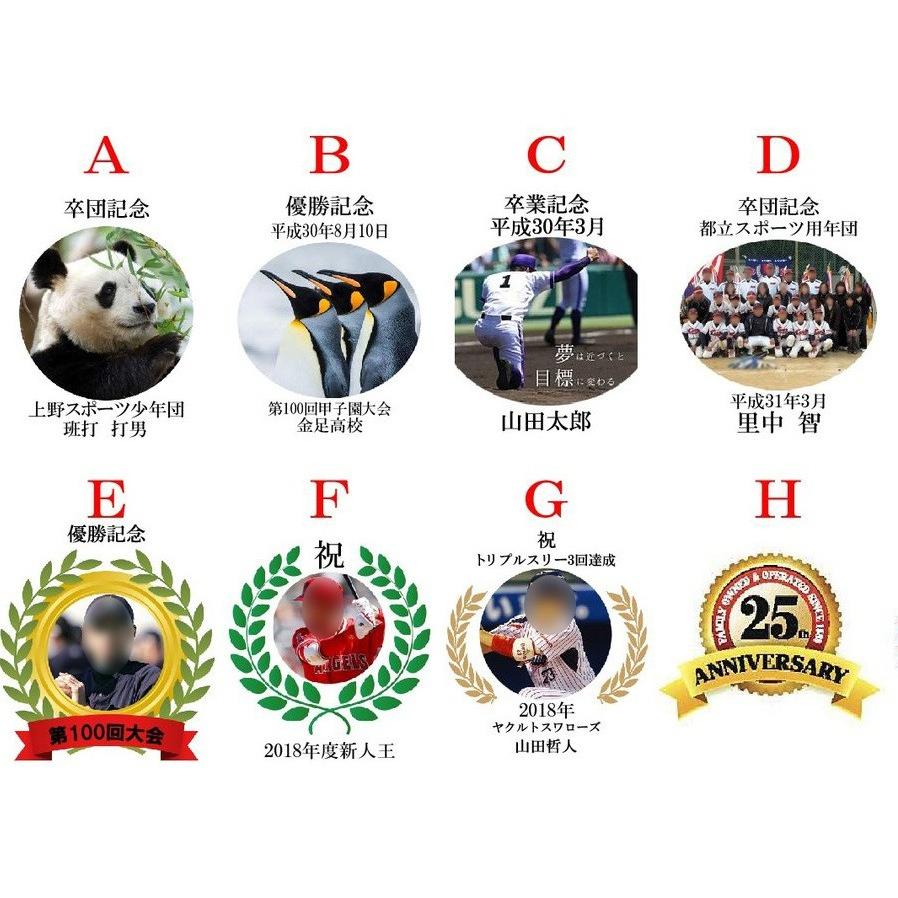 野球用サインボール「記念ボール　画像フルカラープリント」ディスプレースタンド付 |  | 03