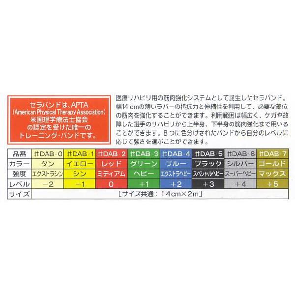 D&M「セラバンド/強度：スーパーヘビー」DAB-6【メール便送料無料】 | MIZUNO | 01