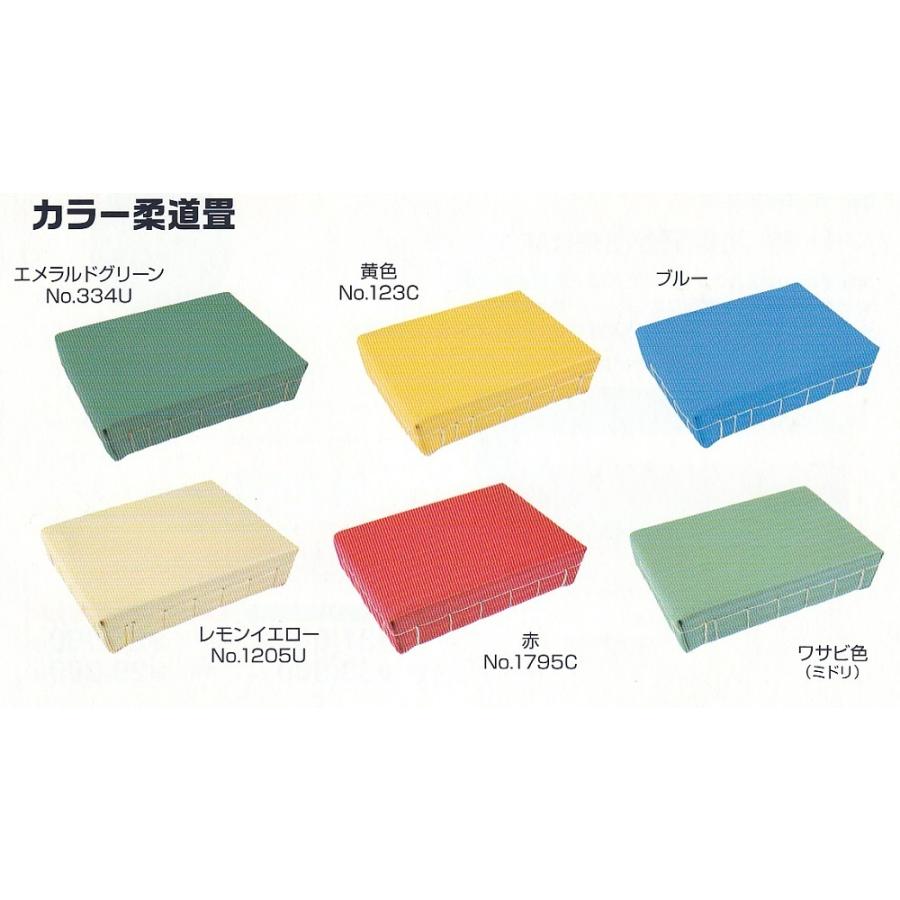 一畳から発送】軽量化学柔道畳[公認畳]「エリート」 : SportsShop