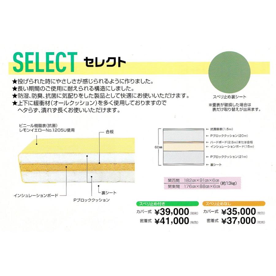 【一畳から発送】軽量化学柔道畳≪耐久性重視≫「セレクト」 | 
