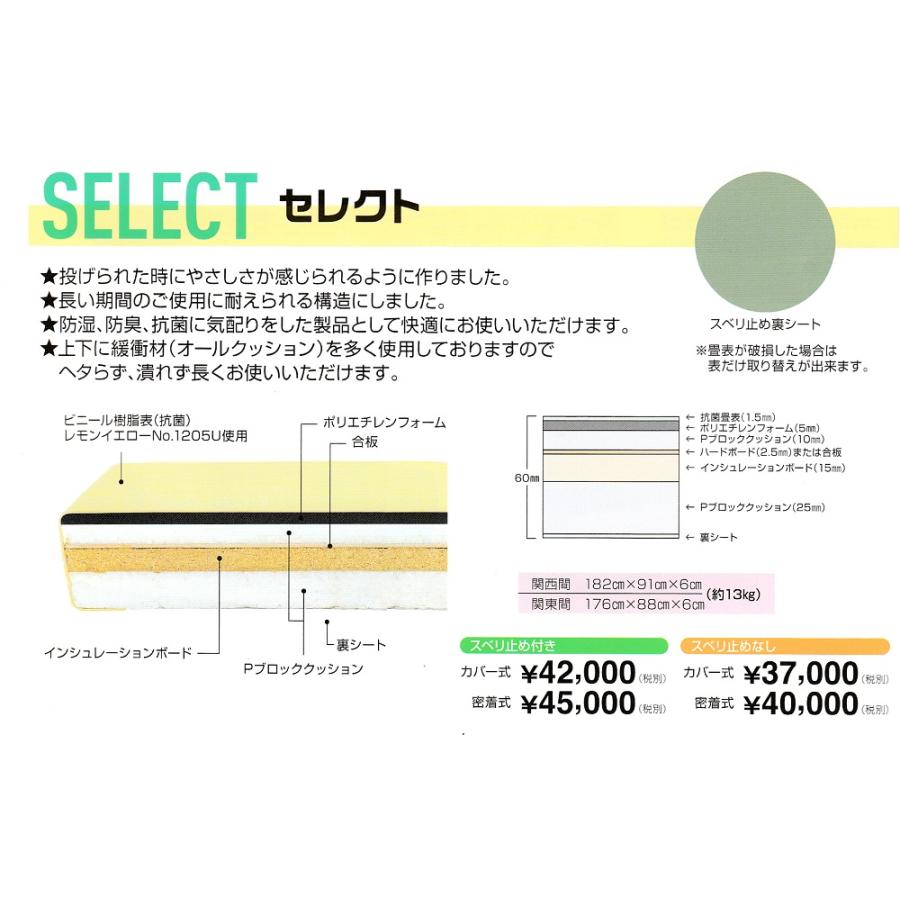 【一畳より畳工場から発送】軽量化学柔道畳≪耐久性重視≫「セレクト」 |  | 01