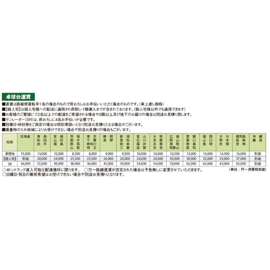 卓球台 国際公式規格サイズ Various アシスト Avl 22 ガスダンパー付き 内折一体式 卓球バレー 日本製 流行に アシスト Avl 22