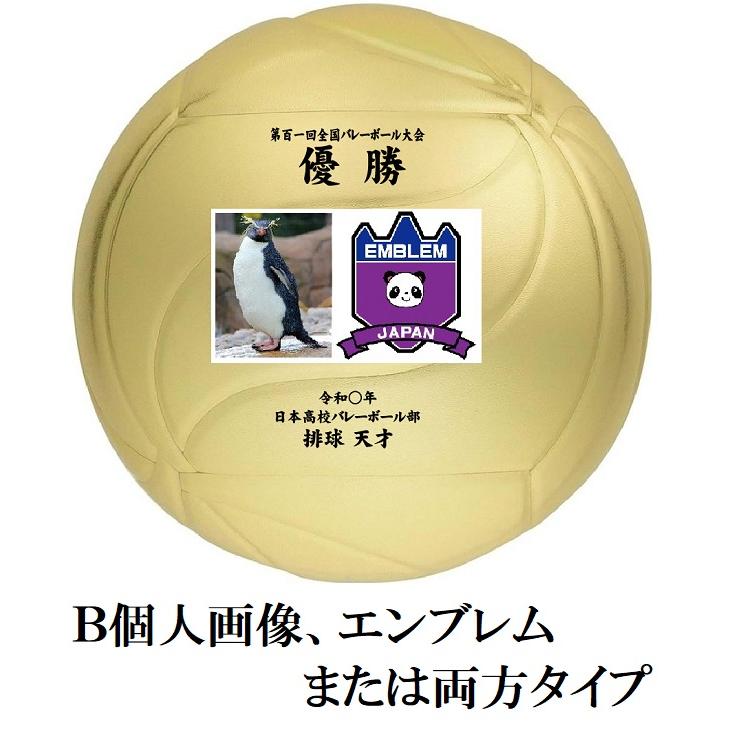 サイン入りバレーボール 青と黄色 サイン入りバレーボール 青と黄色