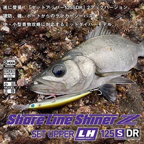 限定セール ダイワ Daiwa ショアラインシャイナーzセットアッパーlh 125sdr ルアー Www Bgcfauquier Org