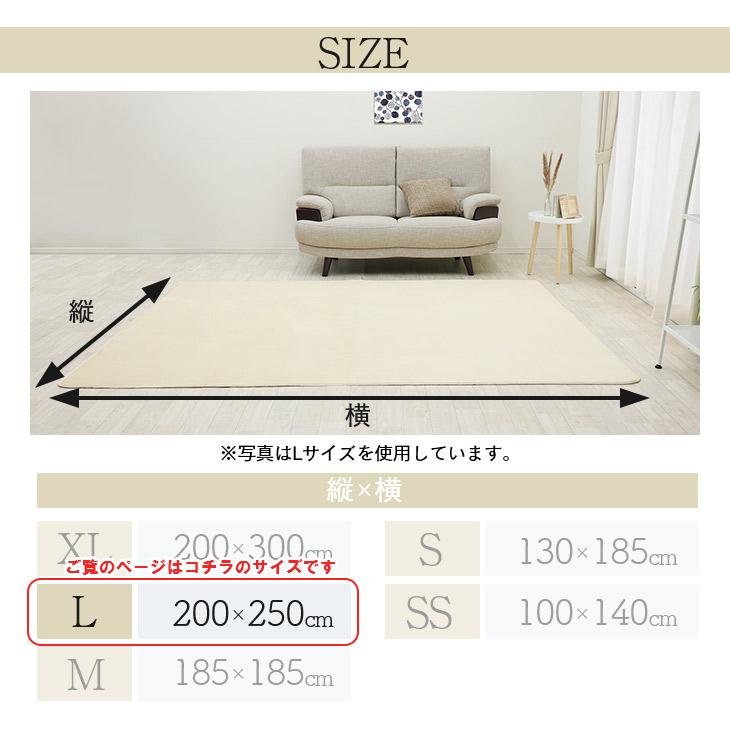 ラグ カーペット ラグマット 洗える 3畳 200×250 オールシーズン おしゃれ 秋 冬 北欧  絨毯 抗菌 防ダニ フリーリー | フリーリー | 55