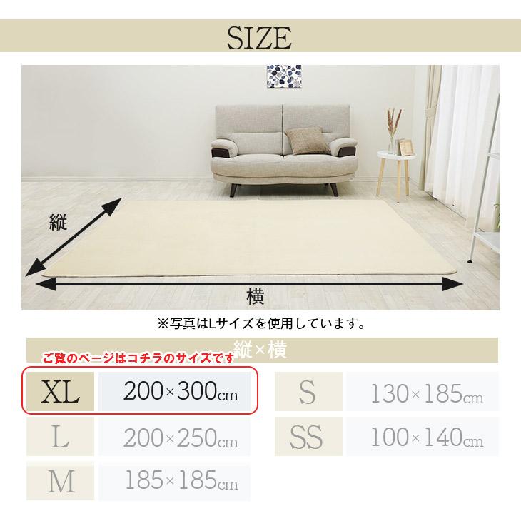 フリーリー ラグ カーペット ラグマット 3.5畳 洗える 200×300 オールシーズン おしゃれ 秋 冬 北欧 絨毯 抗菌 防ダニ ...