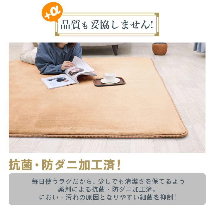 フリーリー ラグ カーペット 厚手 高反発ラグ 極厚 25mm 200×300 3.5畳 ラグマット オールシーズン 秋 冬 防音 絨毯 ...