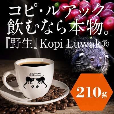 野生 Kopi Luwak 焙煎豆210ｇ イグノーベル賞を受賞したジャコウネコのコーヒー インドネシア アチェのガ