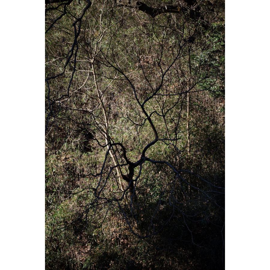 サイン本】「KANON」 山上新平 : 二子玉川 蔦屋家電 ヤフー店