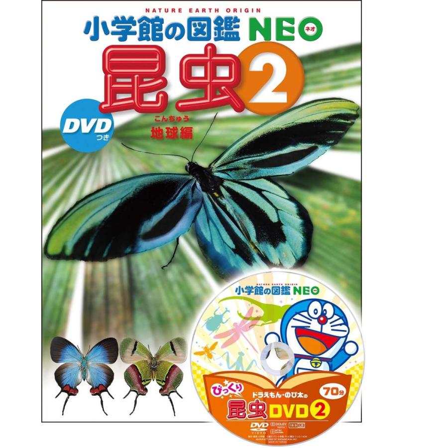 小学館の図鑑NEO〔新版〕昆虫2 DVDつき: 地球編』執筆・企画構成／小池