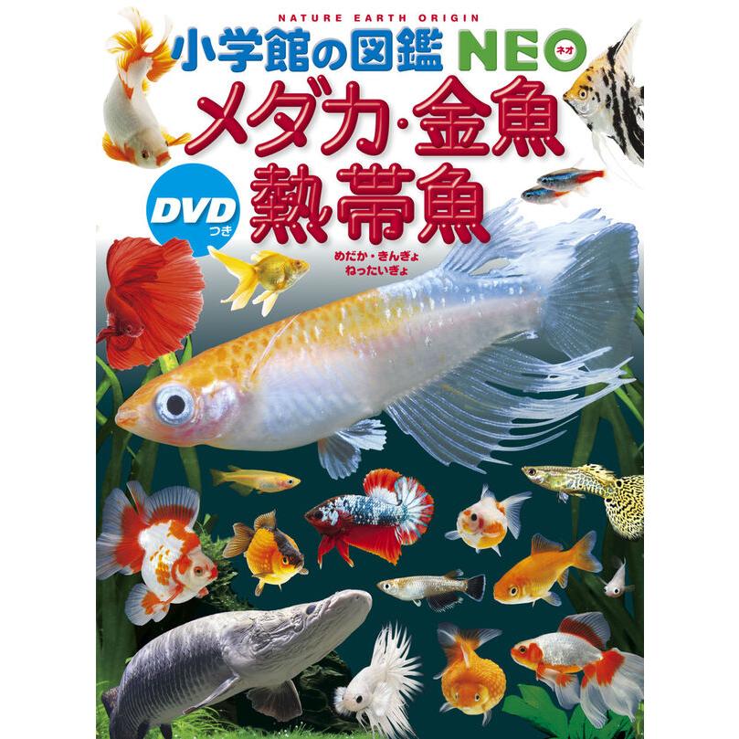 図鑑　小学館の図鑑 NEO 全10巻 + おまけ(魚DVD) 小学館の図鑑NEO 魚 新版 DVDつき 小学館｜SHOGAKUKAN 通販