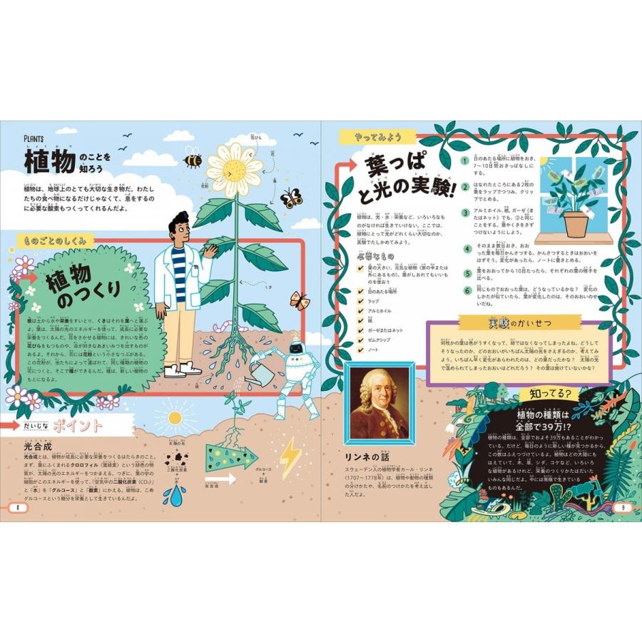 実験でわかる科学のなぜ Ai時代を生きぬく理系脳が育つ 子供の科学stem体験ブック Mbk9784416618240 二子玉川 蔦屋家電 ヤフー店 通販 Yahoo ショッピング
