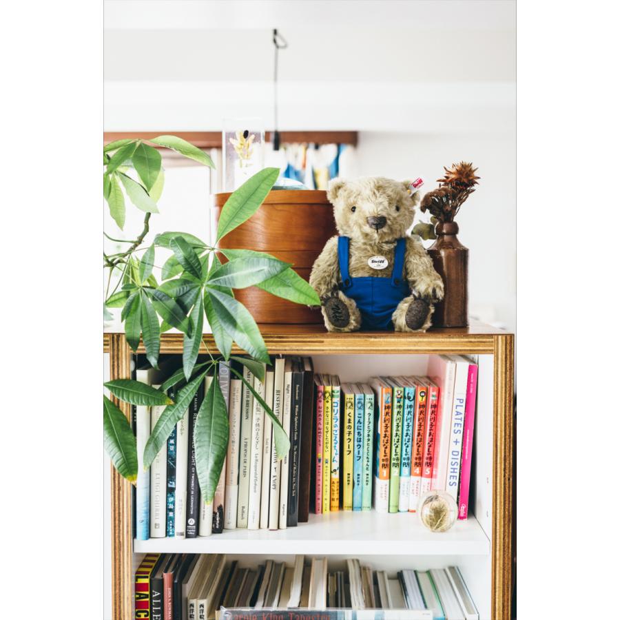 数量限定 / お取り寄せ】『くまの子ウーフ×シュタイフ』ぬいぐるみ