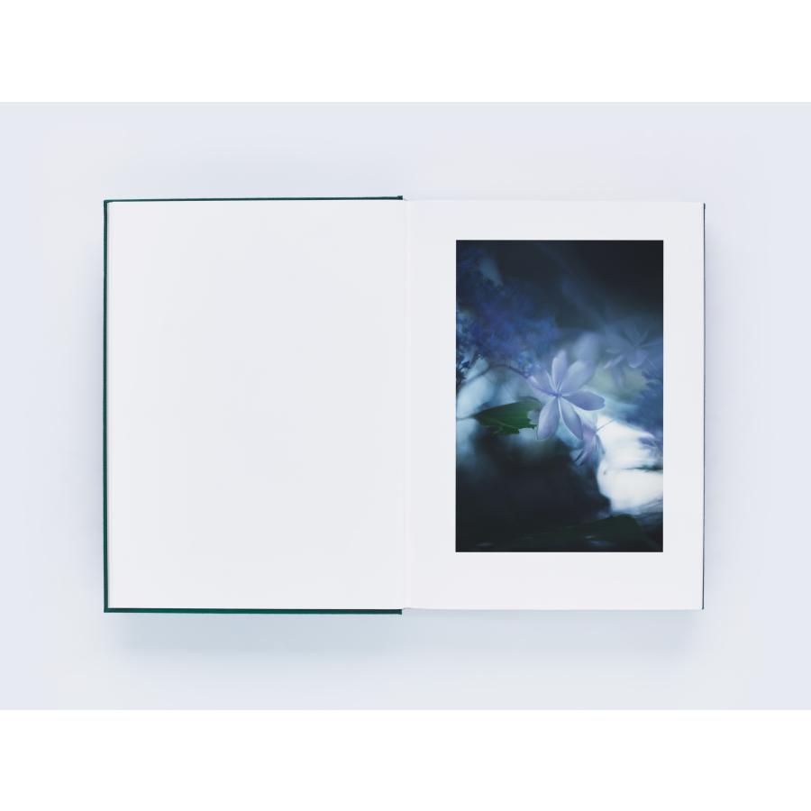サイン本】瀧本幹也 写真集 『LUMIERE』 : 二子玉川 蔦屋家電