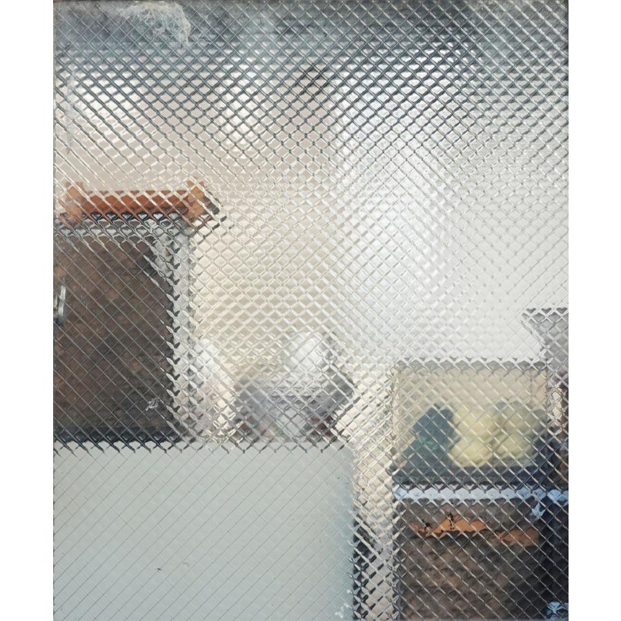 奥山由之 写真集『windows』特別限定版（サイン入り） : 二子玉川 蔦屋