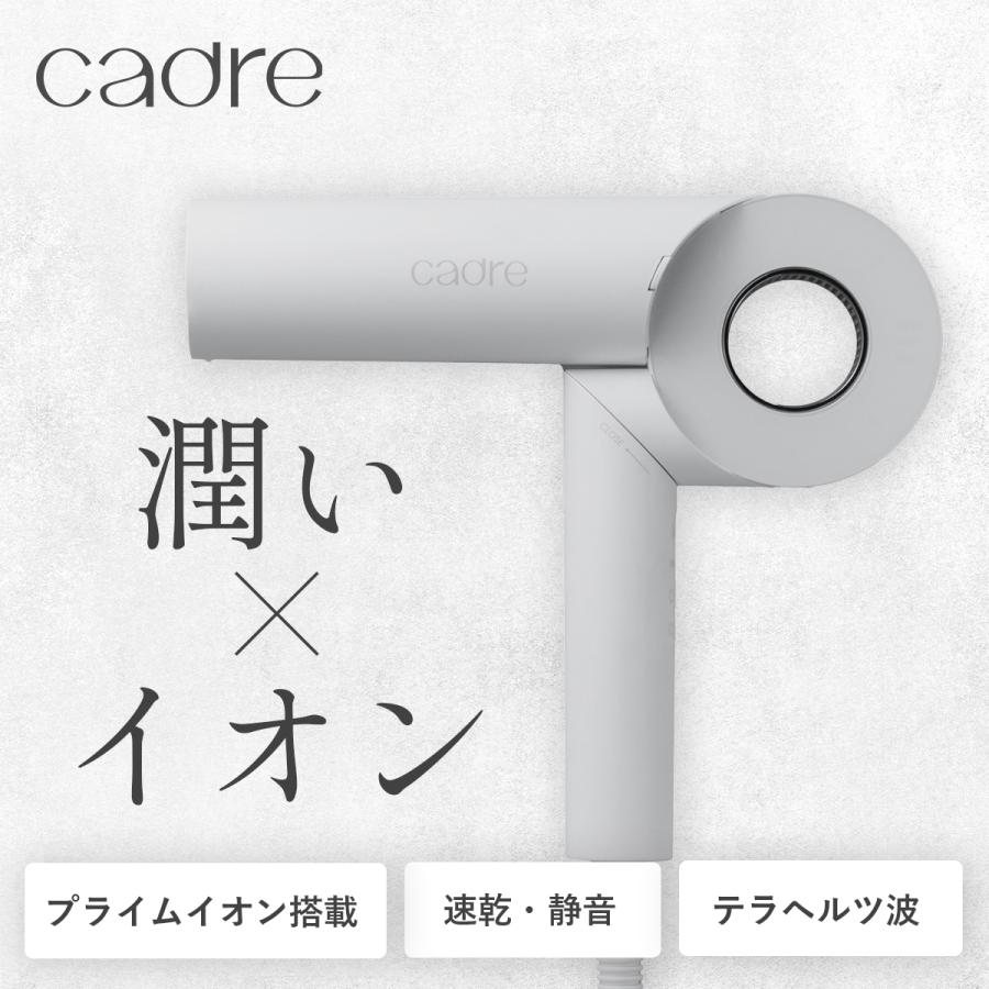 cadre(カドレ)hair dryer（ヘアドライヤー）WHT（ホワイト