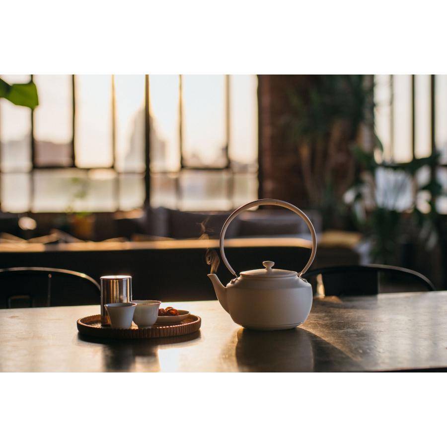 BALMUDA (バルミューダ）MoonKettle(ムーンケトル)WH : 二子玉川