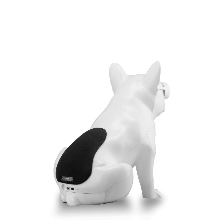 AeroBull XS1 ワイヤレススピーカー ホワイト 美品 Aerobull