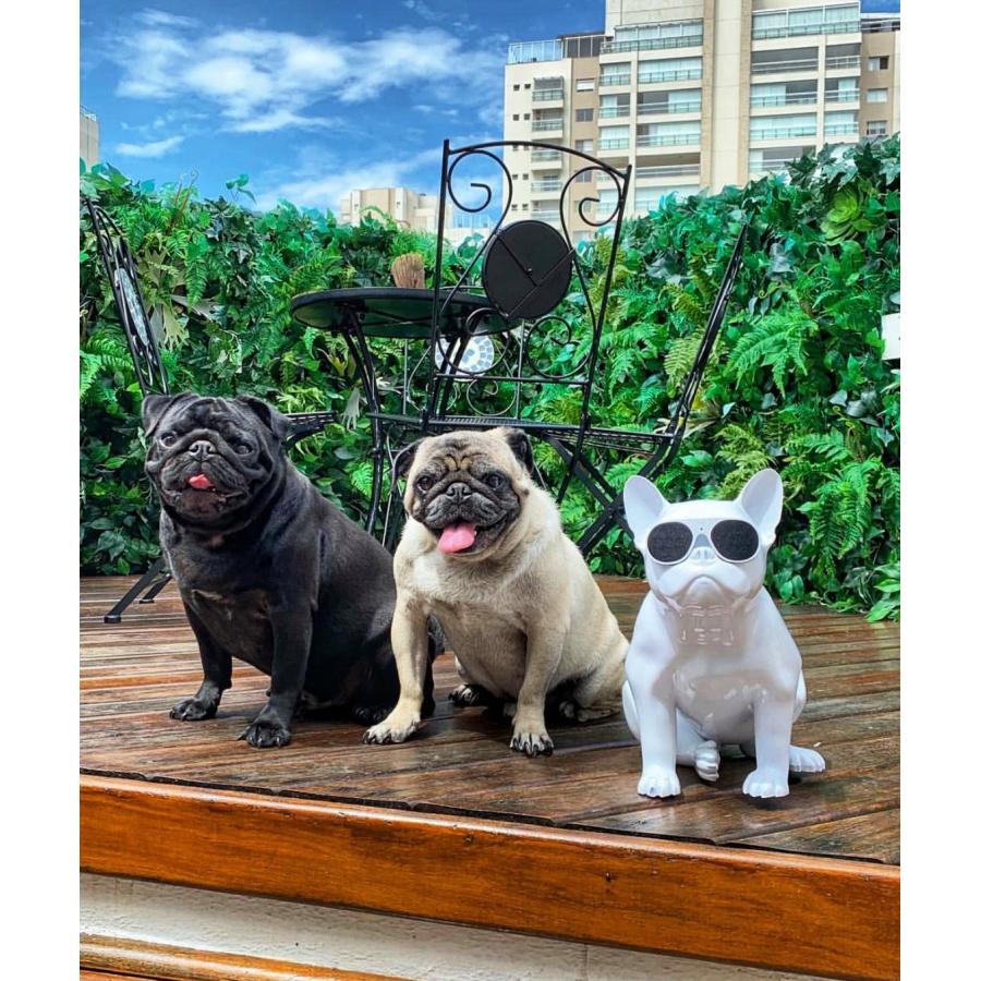 AeroBull XS1 ワイヤレススピーカー ホワイト 美品 AeroBull(エアロブル) XS1 グロッシー・ホワイト ワイヤレス