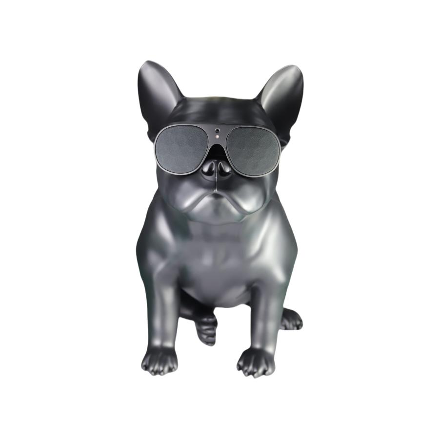 AeroBull エアロブル　ワイヤレススピーカー AeroBull(エアロブル) HD1 マット・ブラック ワイヤレス