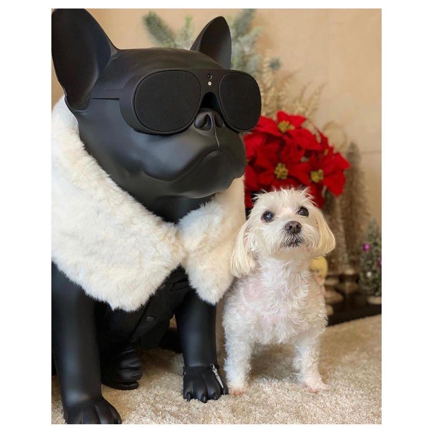 AeroBull(エアロブル) HD1 マット・ブラック ワイヤレス