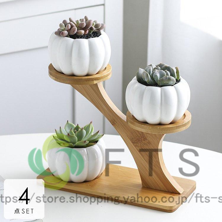 正規品 母の日 ギフト プレゼント 栽培 花 鉢植え おしゃれ プランター 花瓶 植木鉢 通販 モノトーン ホワイトハイセンス ブラウン ガーデニング かわいい 鉢 プランターカバー Www Oroagri Eu