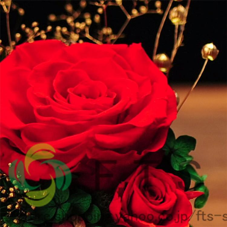 プリザーブドフラワー 花材 プレゼント 母の日 誕生日 お花 ギフト フラワー バラ 枯れない花 おしゃれ プリザーブドフラワー ガラスドーム Yh5372 Fts ストア 通販 Yahoo ショッピング