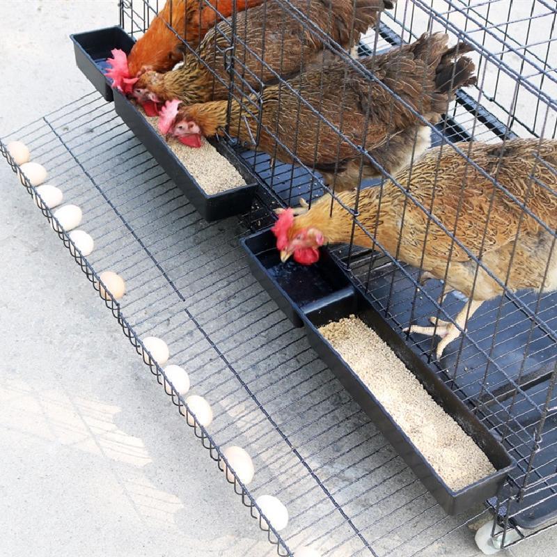 鶏小屋 チキンケージ飼育ケージ 特大世帯折りたたみ鶏小屋 自動エッグロールケージ トレー、水槽、フードボウル付き 複数のサイズ。 