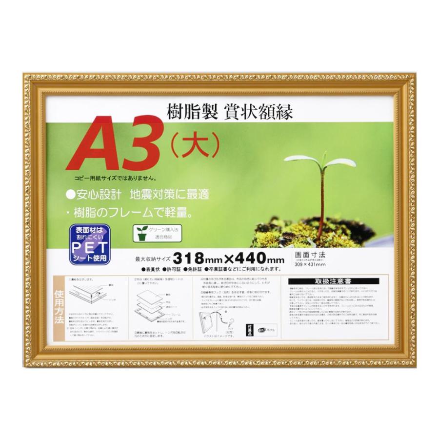 額縁 フレーム 賞状 卒業証書 免状 絵画 イラスト 表彰状 壁かけ