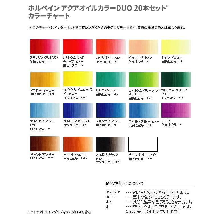 絵具 オイルペインティング 絵画 制作 作品 美術 芸術 アート 画材 ホルベイン アクアオイルカラー デュオ DU921 20色セットの画像