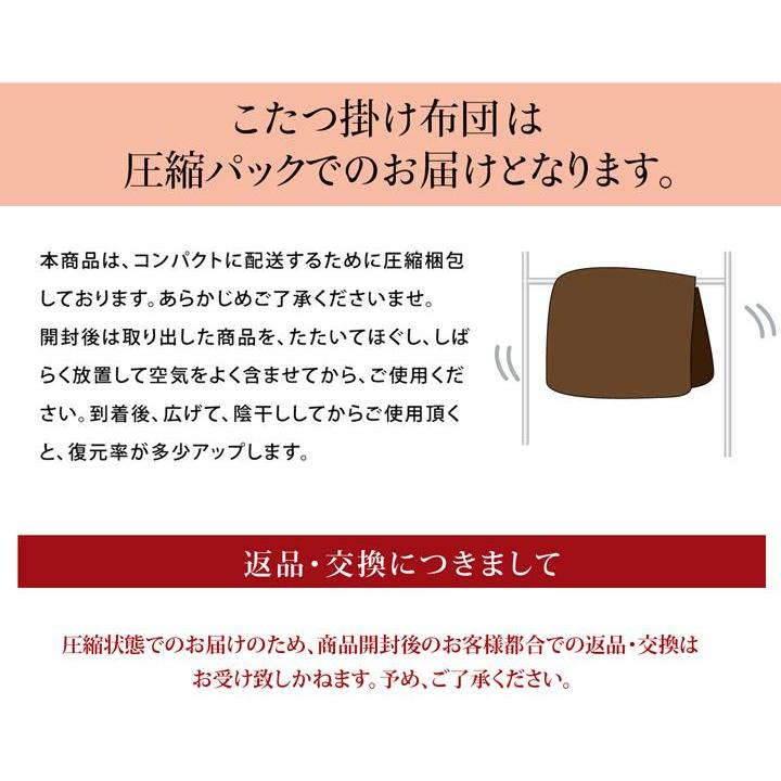 和柄 こたつ布団 掛け敷きセット 『こよみ』 グリーン 約205×205cm 5965010の画像