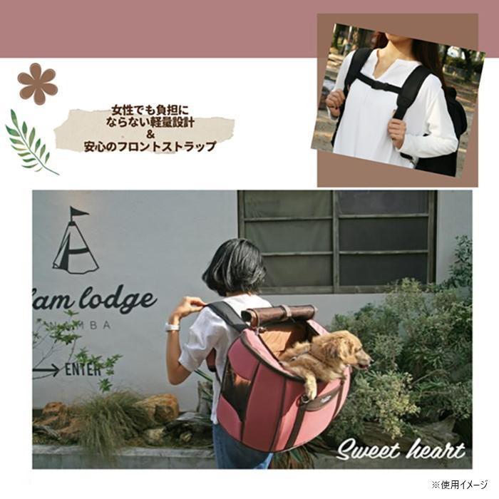 貴重】九谷焼 金彩竹林双虎之図 飾り大皿 直径約45cm 林隆 造 竹隆窯