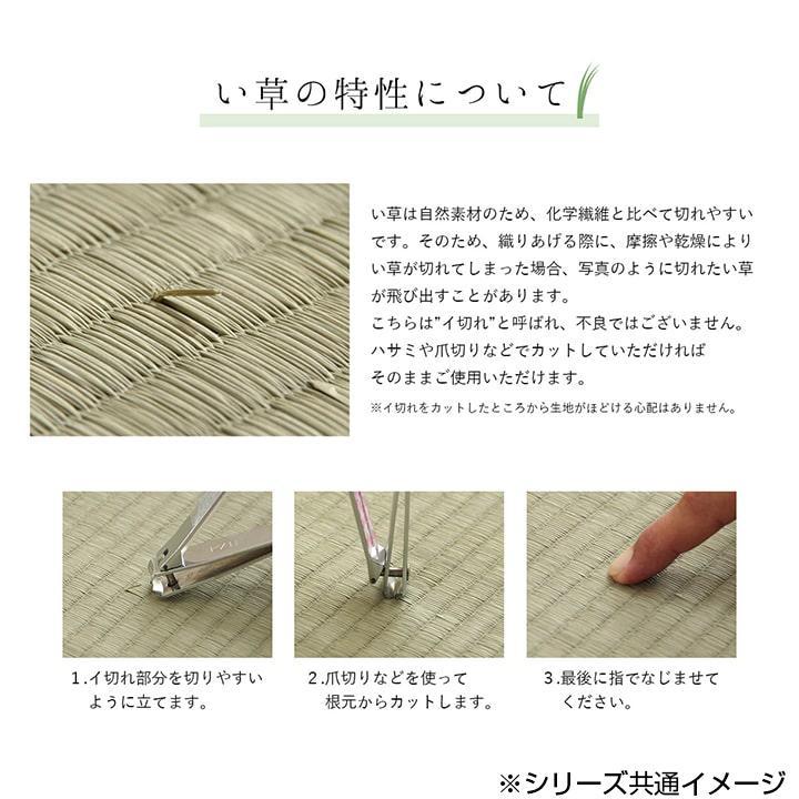 純国産 日本製 い草ラグ 抗菌防臭 『DXカラフルブロック』 グレー 約191×250cm 1711530