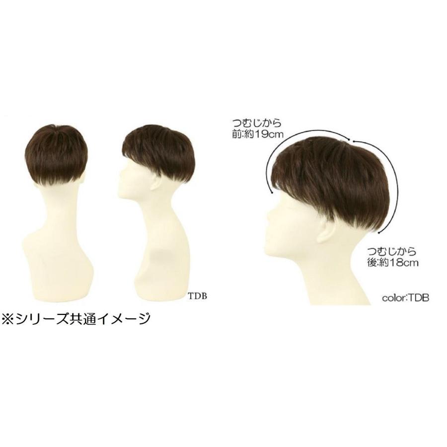 プリシラ 男性用5分ウィッグ レイヤーショート 耐熱 ブラック GB-22