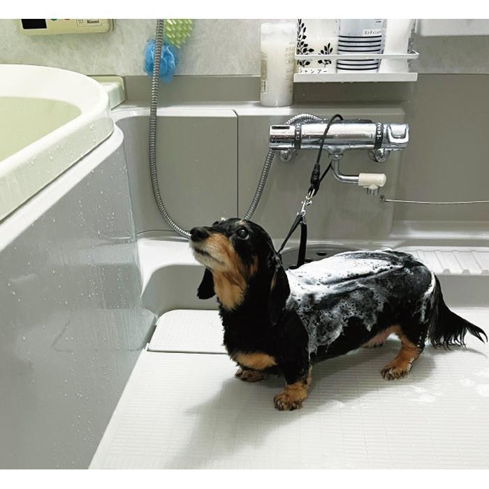 バスリード トリミング ドッグバス お風呂 シャンプー 浴槽 バスタブ