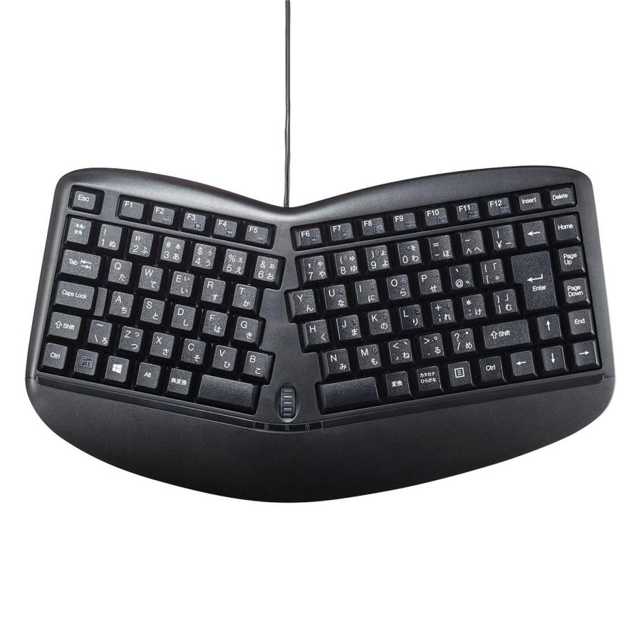 サンワサプライ エルゴノミクス キーボード ブラック SKB-ERG3BK 