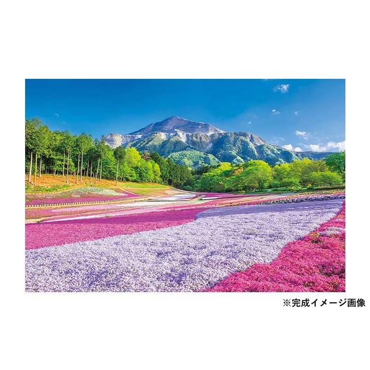 ジグゾーパズル クリアパズル 景色 映画美術の巨匠が描く富士と桜
