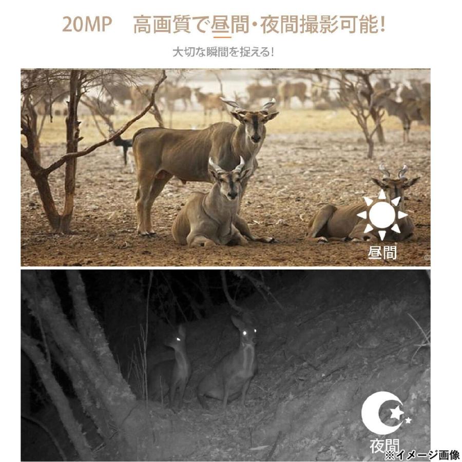 SLI-FIA1080 フルハイビジョンカメラ Amazon.co.jp: サイエルインターナショナル フルハイビジョン