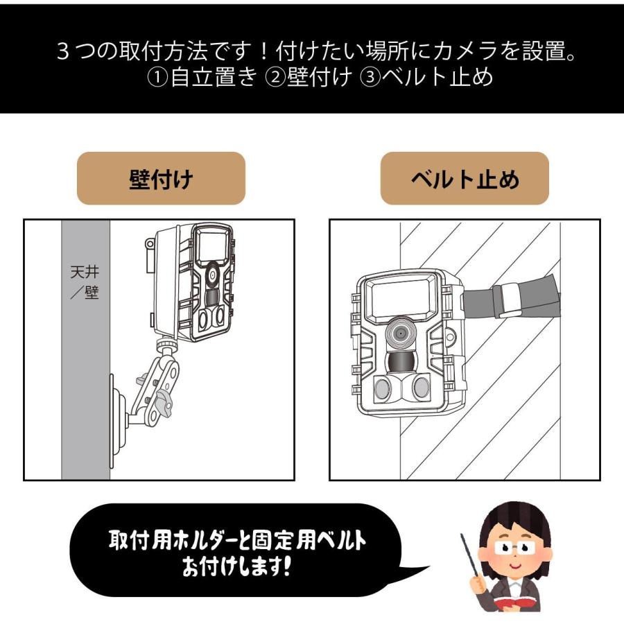 フルハイビジョン赤外線センサー暗視カメラ SLI-FIA1080 : 通販