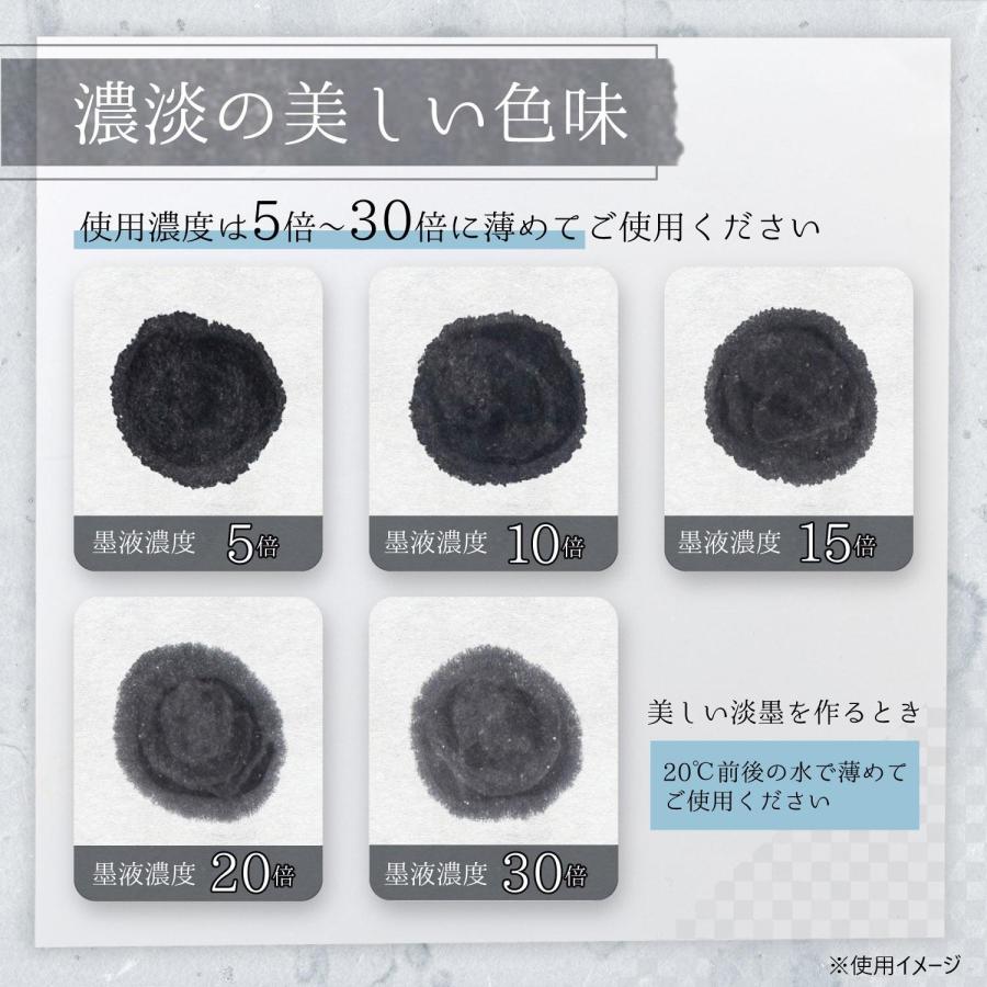 墨汁 墨液 水墨画用 濃淡 アート 作品 濃縮 書道用品 習字道具 製作