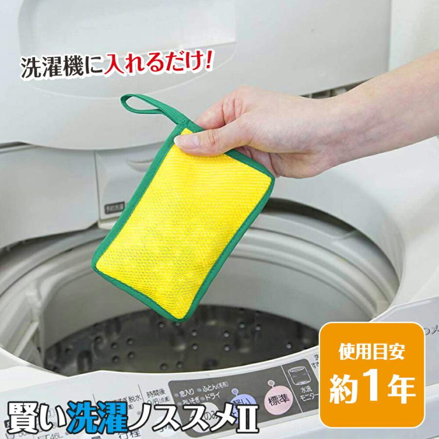 賢い洗濯ノススメII 洗濯槽クリーナー 洗濯補助用品 部屋干し 生乾き 抗菌 防カビ 防臭 日本製