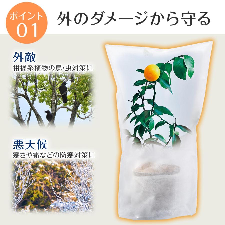 園芸用不織布カバー 5枚組 60×120cm 不織布シート 防鳥 防虫 霜よけ