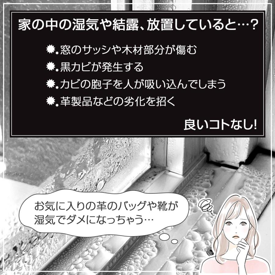 カットして使える湿気取り10連結 2本組 除湿 B型 シリカゲル 活性炭