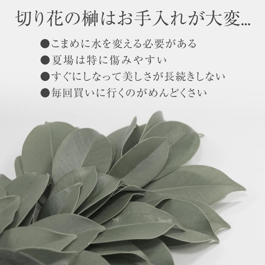 神棚用の榊(2束) サカキ 造花 フェイクグリーン ワイヤー 高さ調節 水