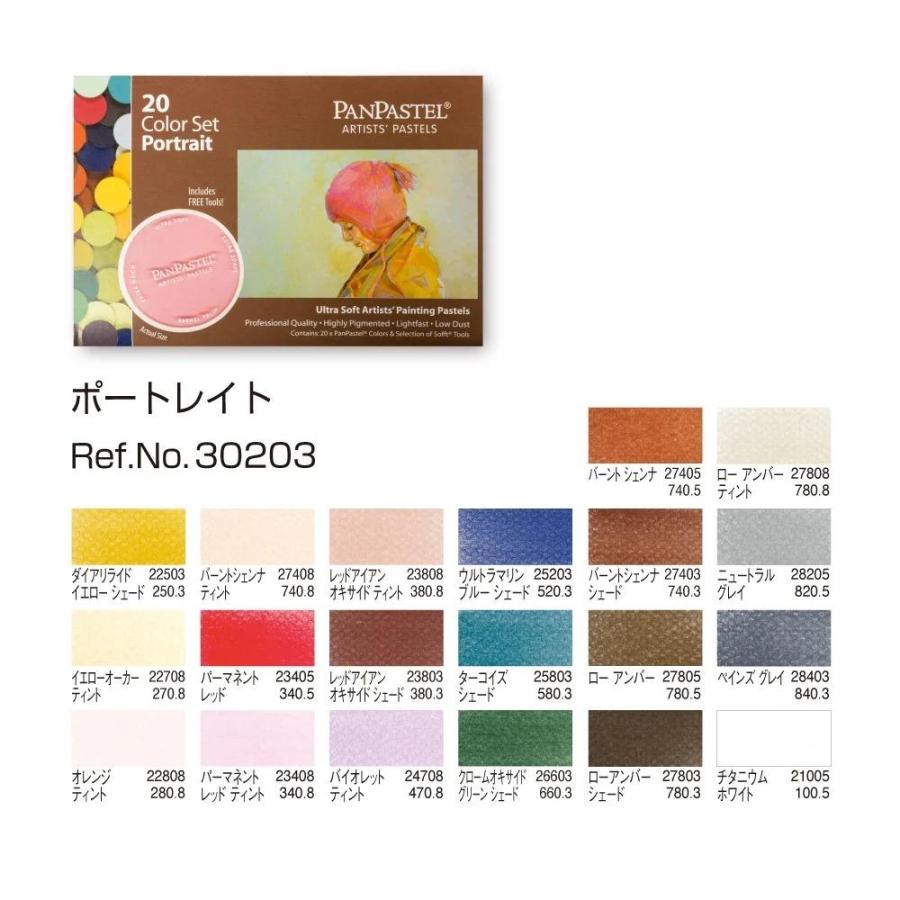 未使用　パンパステル　20色　画材 ホルベイン パンパステル 20色セット ポートレイト 318-323