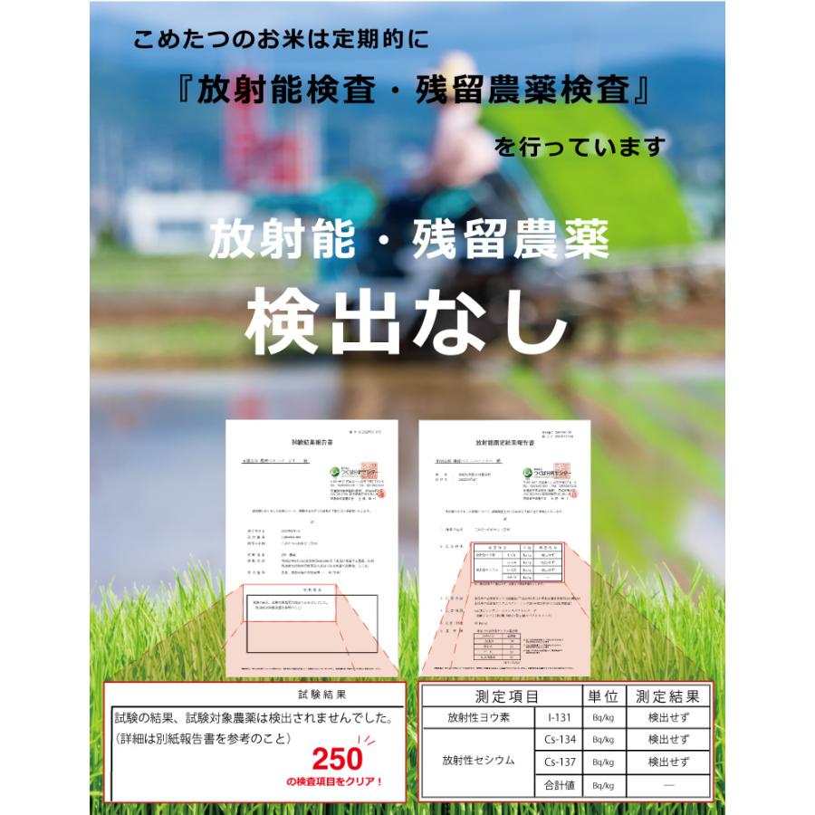 米 お米 10kg あきまさり 熊本県産 令和4年産 5 kg×2袋 : こめたつ 