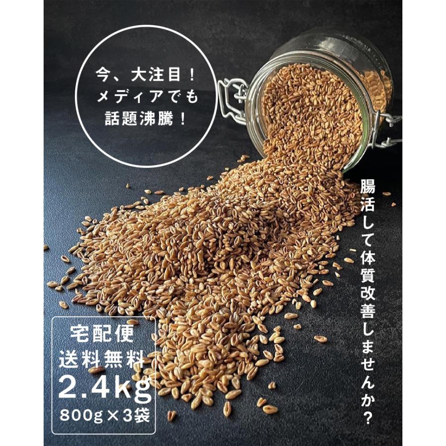 スーパー大麦 送料無 バーリーマックス 2.4kg 大麦 食物繊維 シリアル ダイエット barley 自然の蔵 健康食品 格安人気 ハイレジ 低GI