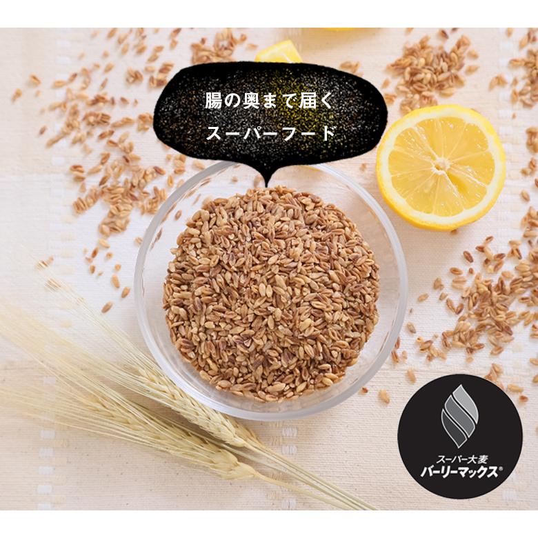 スーパー大麦 送料無 バーリーマックス 2.4kg 大麦 食物繊維