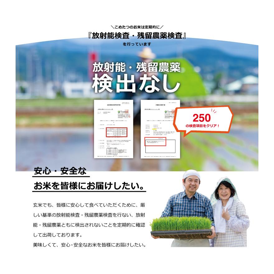 米 お米 30kg ヒノヒカリ 熊本県産 令和5年産 玄米30kg 精米27kg 小分け無し ひのひかり｜fuchigami｜11