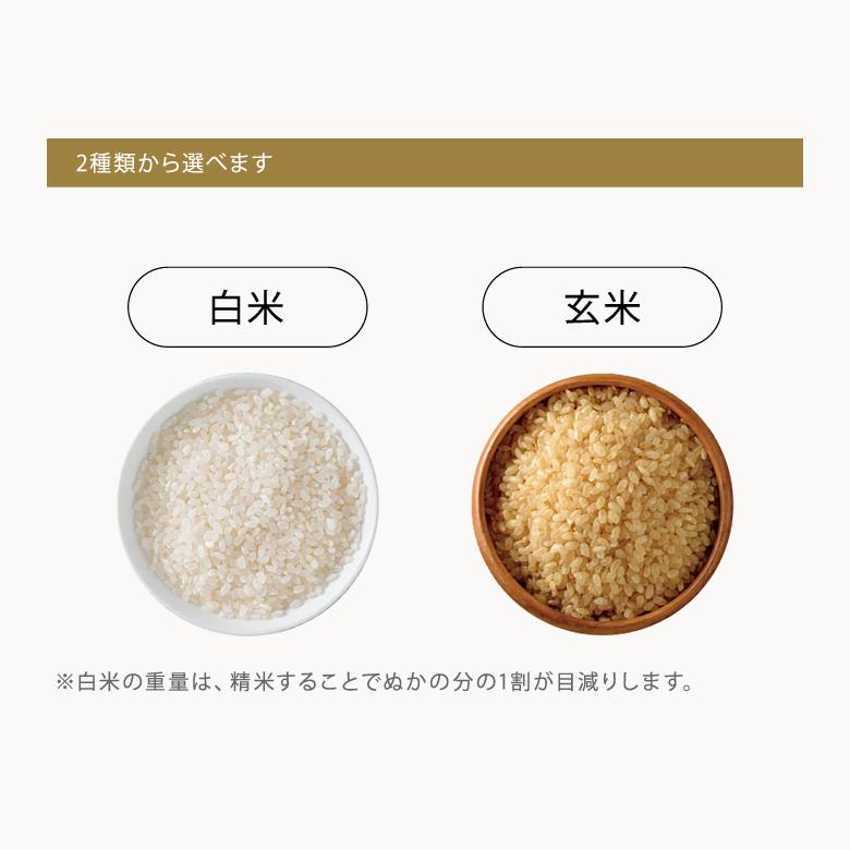 ヒノヒカリ 米 お米 30kg 熊本県産 令和6年産 玄米30kg 精米27kg ヒノヒカリ 米 お米 30kg 熊本県産 令和6年産 玄米30kg 精米27kg
